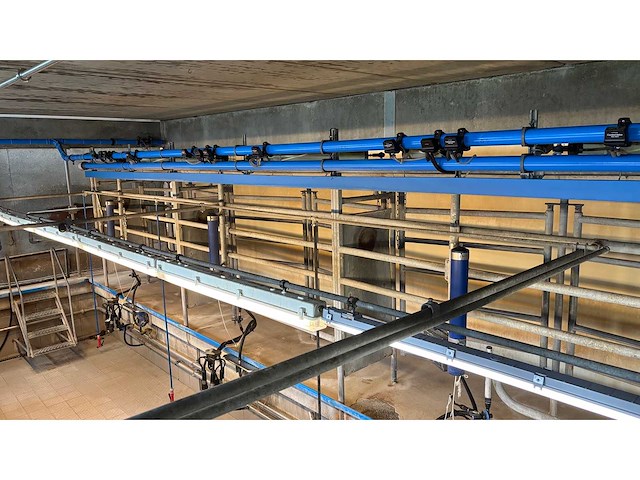 2001 delaval tandem melkinstallatie (7 boxen) - afbeelding 18 van  32