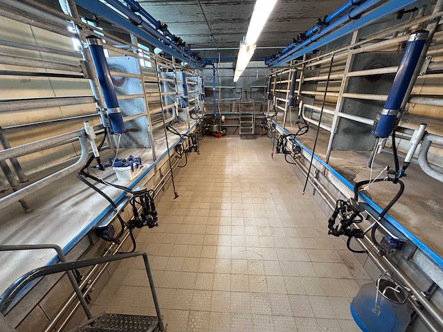 2001 delaval tandem melkinstallatie (7 boxen) - afbeelding 1 van  32
