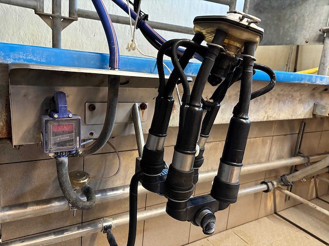 2001 delaval tandem melkinstallatie (7 boxen) - afbeelding 4 van  20