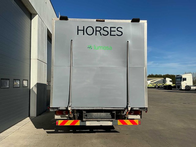 2001 renault paardenvrachtwagen - afbeelding 45 van  54