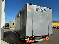 2001 renault paardenvrachtwagen - afbeelding 52 van  54