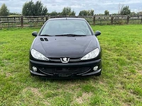 2003 peugeot 206 - afbeelding 31 van  33