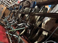 2004 delaval melksysteem - delaval 2 x 7 professionele melksalon, waarmee 14 koeien kunnen worden gemolken - afbeelding 3 van  5