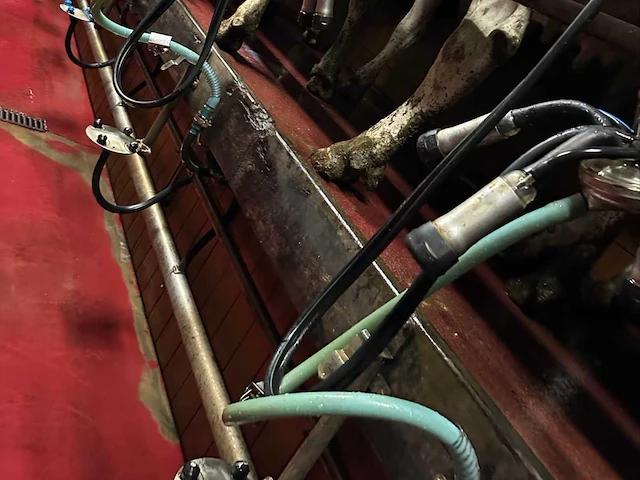 2004 delaval melksysteem - delaval 2 x 7 professionele melksalon, waarmee 14 koeien kunnen worden gemolken - afbeelding 1 van  5