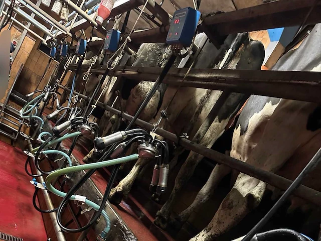 2004 delaval melksysteem - delaval 2 x 7 professionele melksalon, waarmee 14 koeien kunnen worden gemolken - afbeelding 2 van  5