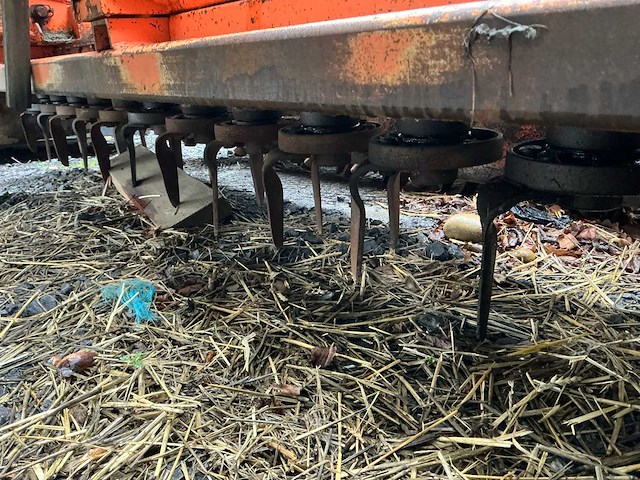 2004 falc ringwals wals - afbeelding 13 van  13