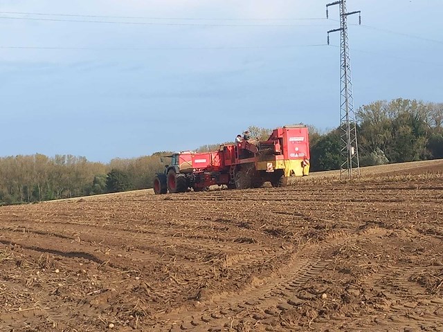 2004 grimme se 170-60 aardappeloogster - afbeelding 13 van  22