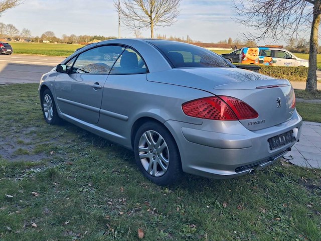 2004 peugeot 307 cabrio personenauto - afbeelding 13 van  19