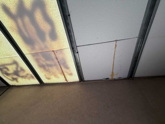 2004 renault 44aca9 truck - afbeelding 42 van  76