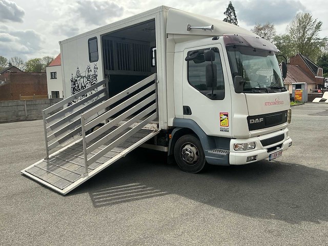 2006 daf lf45 vrachtwagen paardentransport - afbeelding 4 van  48