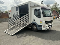 2006 daf lf45 vrachtwagen paardentransport - afbeelding 4 van  48