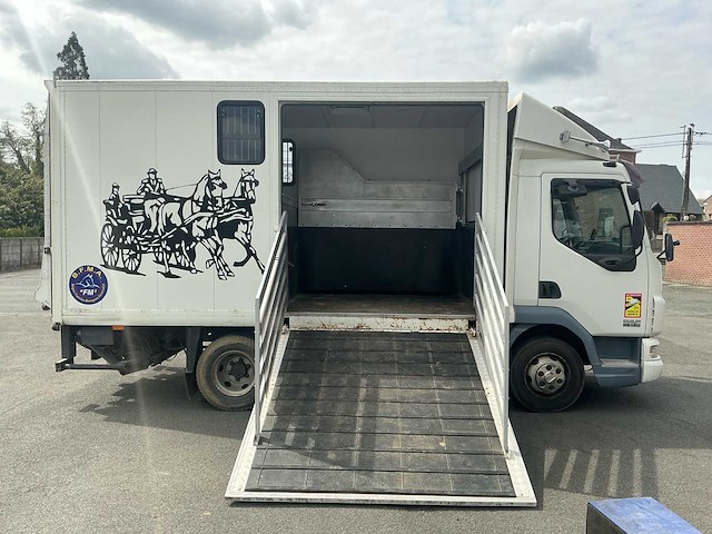 2006 daf lf45 vrachtwagen paardentransport - afbeelding 5 van  48