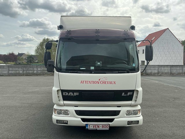 2006 daf lf45 vrachtwagen paardentransport - afbeelding 12 van  48