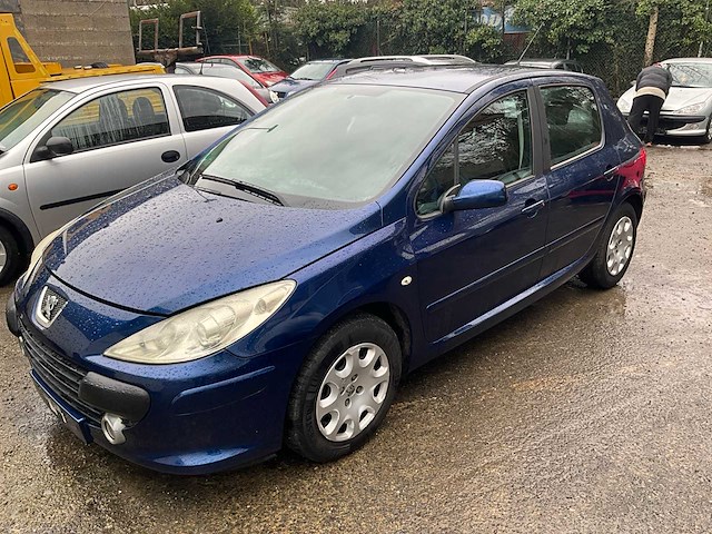 2006 peugeot 307 personenauto - afbeelding 5 van  19