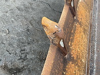 2007 atlas 65 shovel - afbeelding 7 van  41