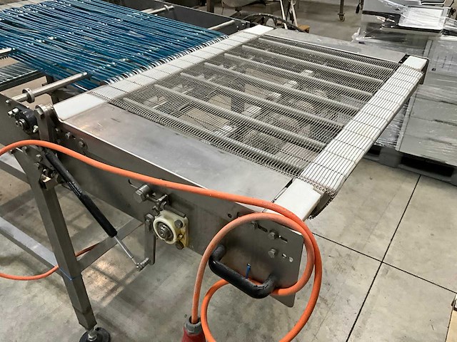 2007 leon torfs transportband - afbeelding 14 van  17