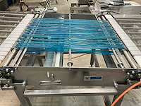 2007 leon torfs transportband - afbeelding 15 van  17