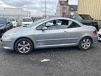 2007 peugeot 307 - afbeelding 20 van  22