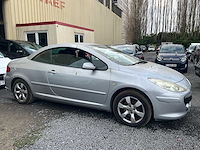 2007 peugeot 307 - afbeelding 22 van  22