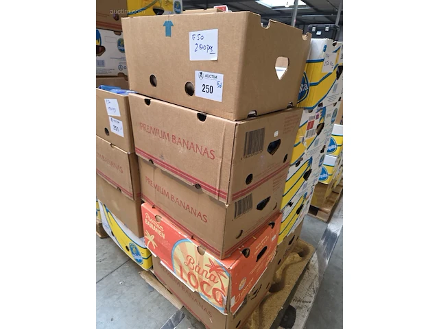 (200x) inktpatronen voor printers pelikan e 50 - afbeelding 4 van  4
