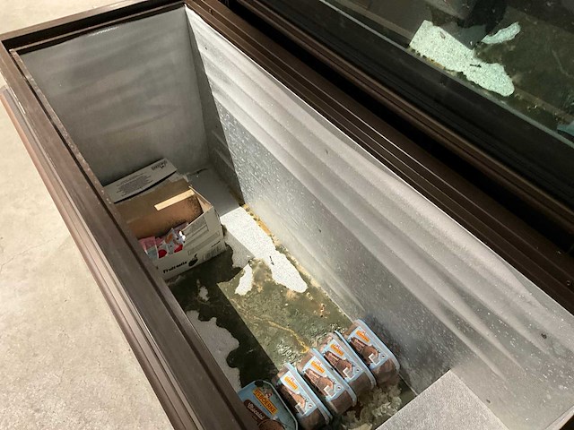 2010 decby f51st vriezer - afbeelding 3 van  6