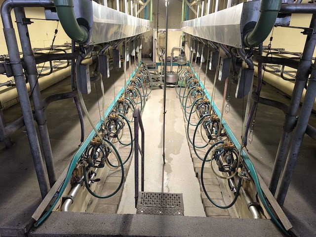 2010 gea visgraat 2x7 melkinstallatie - afbeelding 1 van  17