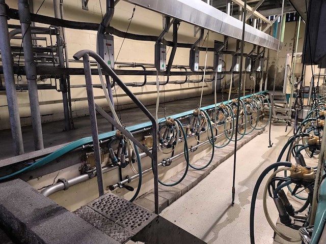 2010 gea visgraat 2x7 melkinstallatie - afbeelding 6 van  6