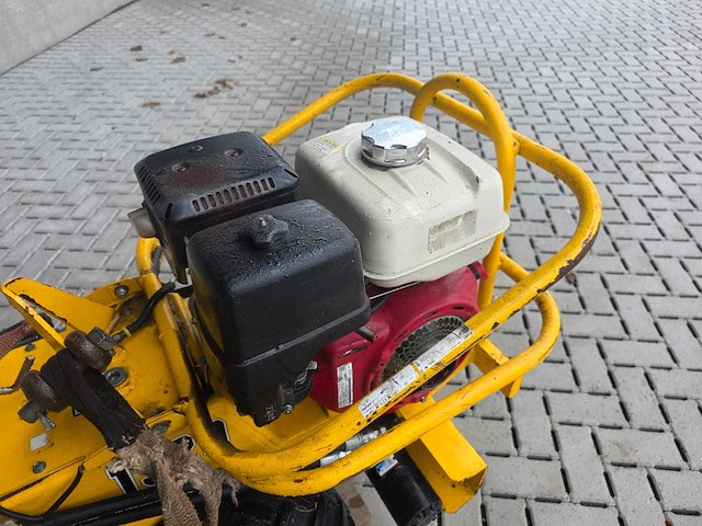 2011 barreto grondfrees - afbeelding 10 van  12