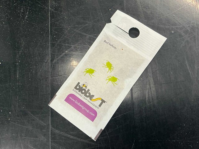 2011 sn machinenbau fm1 verpakkingslijn - afbeelding 13 van  21