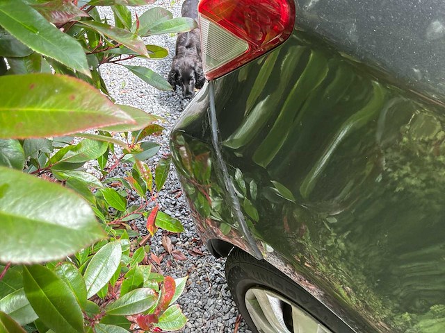 2011 toyota yaris auto - afbeelding 3 van  21
