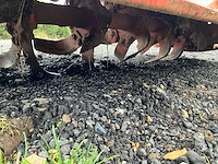 2013 kuhn el 62-130 aardbei - afbeelding 3 van  13