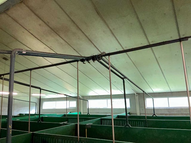 2013 weda voedersysteem varkensstal - afbeelding 12 van  19