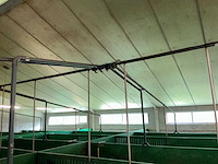 2013 weda voedersysteem varkensstal - afbeelding 12 van  19