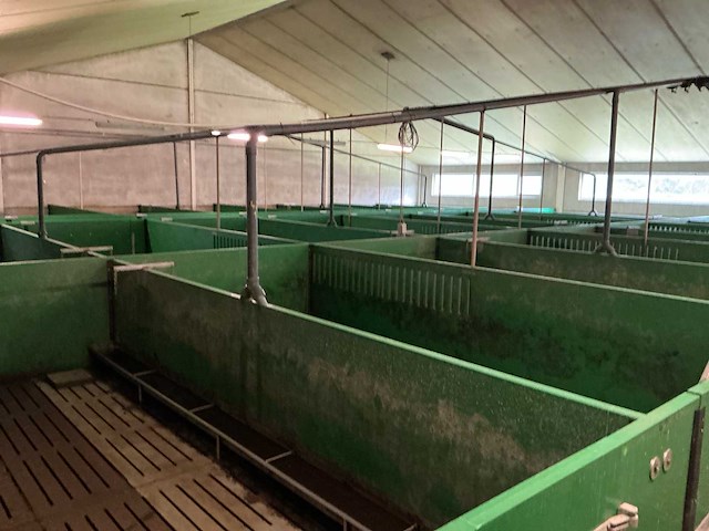 2013 weda voedersysteem varkensstal - afbeelding 5 van  9