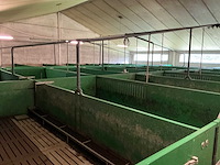 2013 weda voedersysteem varkensstal - afbeelding 5 van  9