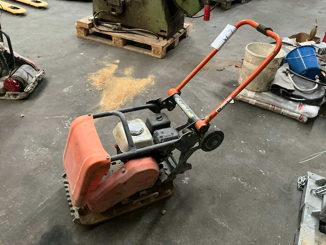 2014 belle trilplaat - afbeelding 1 van  7