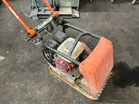 2014 belle trilplaat - afbeelding 3 van  7