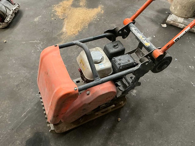 2014 belle trilplaat - afbeelding 4 van  7