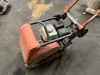 2014 belle trilplaat - afbeelding 4 van  7