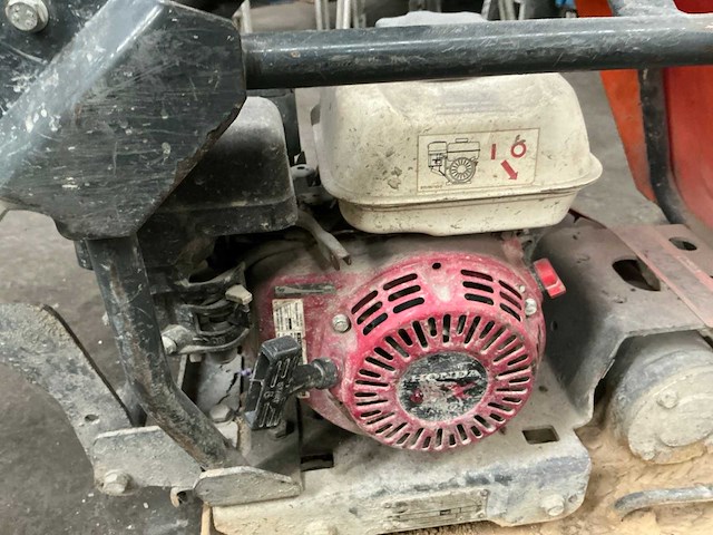 2014 belle trilplaat - afbeelding 5 van  7