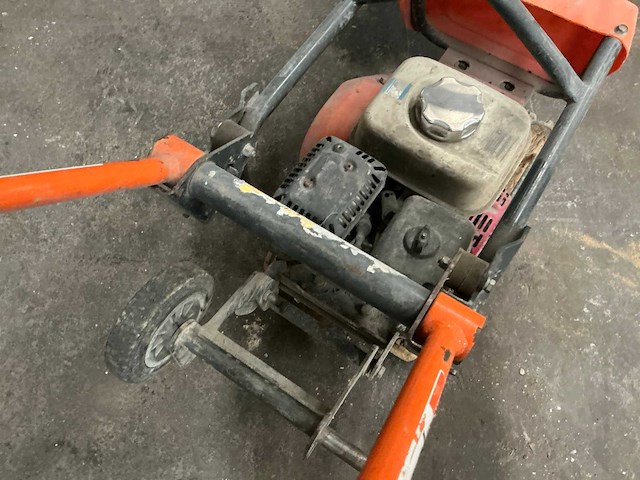 2014 belle trilplaat - afbeelding 6 van  7