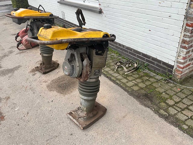2014 wacker neuson trilstamper - afbeelding 1 van  6