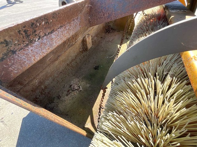 2016 emily baltor 250-01/032 emmer met borstel - afbeelding 3 van  20