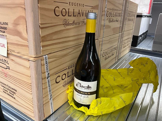 2016 eugenio collavini ribolla gialla witte wijn (35x) - afbeelding 1 van  4