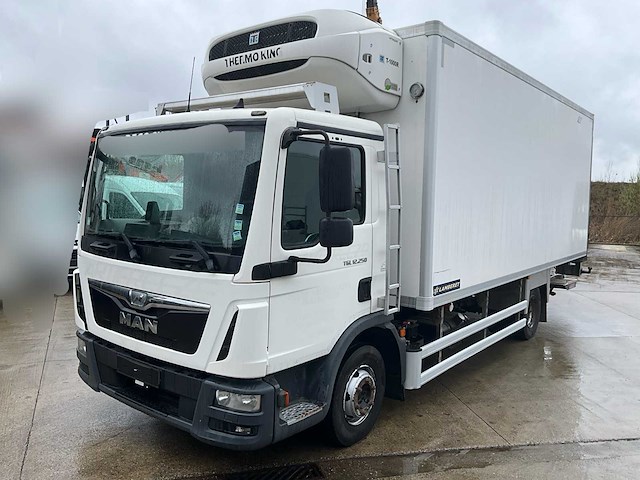 2016 man tgl 12.250 thermoking t-1000r koel/vries - euro 6 - afbeelding 1 van  49