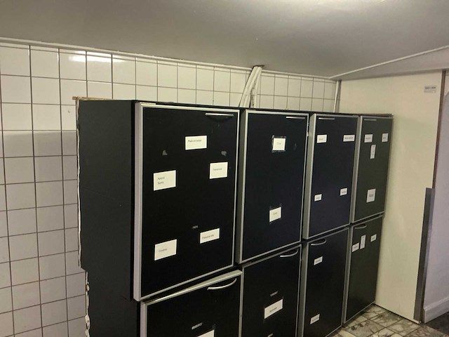 2017 antoine f.a. 2400 4dx sf barkoeling - afbeelding 1 van  10