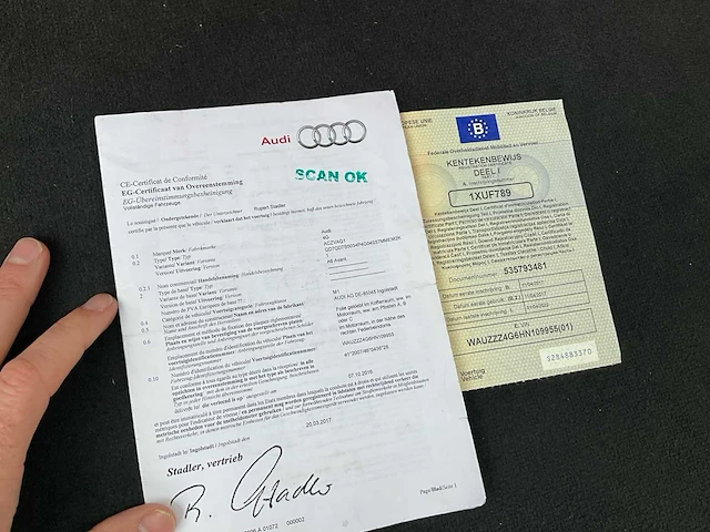 2017 audi 3.0 tdi v6 - afbeelding 21 van  45