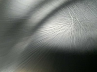 2017 linde e20pl-02 vorkheftruck - afbeelding 44 van  49