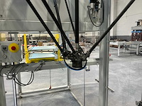 2018 abb flexpicker gerobotiseerde tray-ontstapelaar - afbeelding 8 van  11