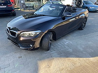 2018 bmw 218i cabrio personenauto - afbeelding 21 van  21